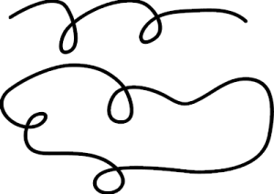 nurbsCurve Example